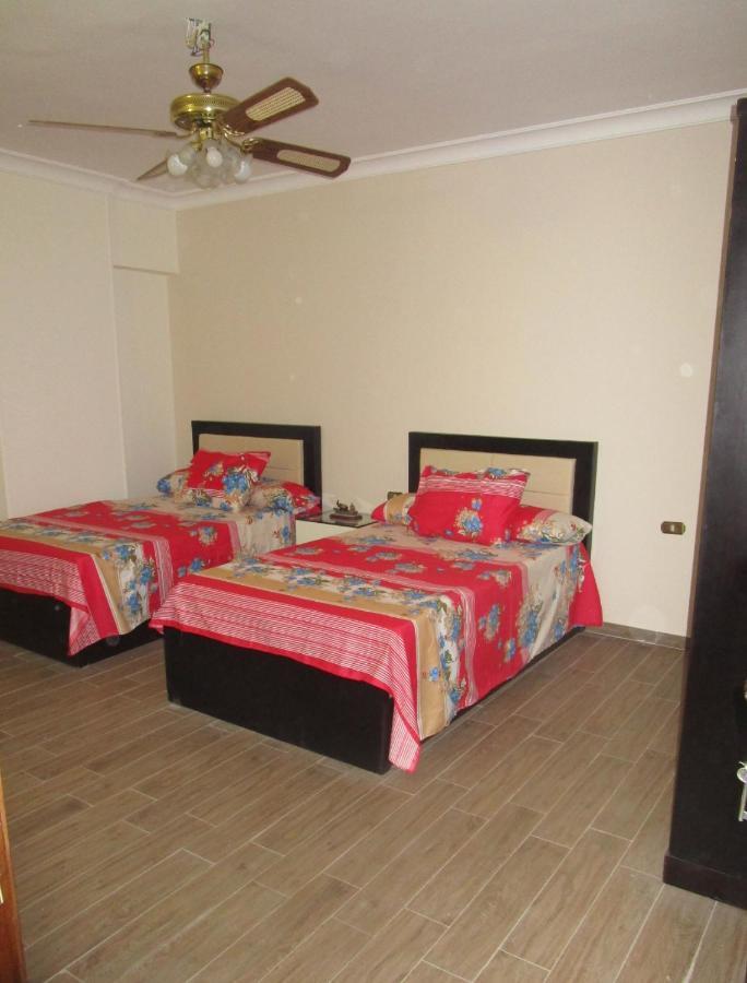 Luxury Furnished Appartement